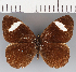  ( - CFC29060)  @11 [ ] copyright (2021) Center For Collection-Based Research Center For Collection-Based Research