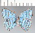  ( - CFC29102)  @11 [ ] copyright (2022) Center For Collection-Based Research Center For Collection-Based Research