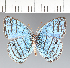  ( - CFC29106)  @11 [ ] copyright (2022) Center For Collection-Based Research Center For Collection-Based Research