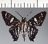  ( - CFC29192)  @11 [ ] copyright (2023) Center For Collection-Based Research Center For Collection-Based Research