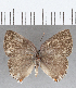  ( - CFC29221)  @11 [ ] Copyright (2020) Christer Fahraeus Center For Collection-Based Research