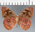  ( - CFC29277)  @11 [ ] copyright (2023) Center For Collection-Based Research Center For Collection-Based Research