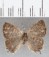  ( - CFC29316)  @11 [ ] Copyright (2020) Christer Fahraeus Center For Collection-Based Research
