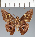  ( - CFC29369)  @11 [ ] copyright (2023) Center For Collection-Based Research Center For Collection-Based Research