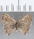  ( - CFC29410)  @11 [ ] Copyright (2020) Christer Fahraeus Center For Collection-Based Research