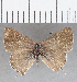  ( - CFC29411)  @11 [ ] Copyright (2020) Christer Fahraeus Center For Collection-Based Research