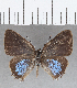 ( - CFC29413)  @11 [ ] Copyright (2020) Christer Fahraeus Center For Collection-Based Research