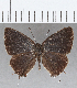  ( - CFC29432)  @11 [ ] Copyright (2020) Christer Fahraeus Center For Collection-Based Research