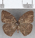  ( - CFC29445)  @11 [ ] copyright (2020) Christer Fahraeus Center For Collection-Based Research