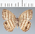  ( - CFC29460)  @11 [ ] copyright (2022) Center For Collection-Based Research Center For Collection-Based Research