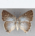  ( - CFC29533)  @11 [ ] Copyright (2020) Christer Fahraeus Center For Collection-Based Research