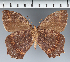  ( - CFC29575)  @11 [ ] copyright (2022) Center For Collection-Based Research Center For Collection-Based Research