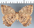  ( - CFC29581)  @11 [ ] copyright (2022) Center For Collection-Based Research Center For Collection-Based Research