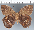  ( - CFC29589)  @11 [ ] copyright (2022) Center For Collection-Based Research Center For Collection-Based Research