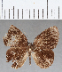  ( - CFC02965)  @11 [ ] Copyright (2019) Christer Fahraeus Center For Collection-Based Research