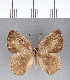  ( - CFC02970)  @11 [ ] Copyright (2018) Christer Fahraeus Center For Collection-Based Research