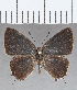  ( - CFC29724)  @11 [ ] Copyright (2020) Christer Fahraeus Center For Collection-Based Research