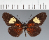  ( - CFC30071)  @11 [ ] copyright (2023) Center For Collection-Based Research Center For Collection-Based Research