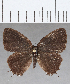  ( - CFC30209)  @11 [ ] Copyright (2020) Christer Fahraeus Center For Collection-Based Research