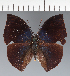  ( - CFC30272)  @11 [ ] copyright (2023) Center For Collection-Based Research Center For Collection-Based Research