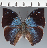  ( - CFC30276)  @11 [ ] copyright (2023) Center For Collection-Based Research Center For Collection-Based Research