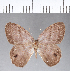  ( - CFC03035_2)  @11 [ ] Copyright (2019) Christer Fahraeus Center For Collection-Based Research