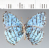  ( - CFC30354)  @11 [ ] copyright (2022) Center For Collection-Based Research Center For Collection-Based Research