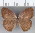  ( - CFC30357)  @11 [ ] copyright (2020) Christer Fahraeus Center For Collection-Based Research