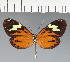  ( - CFC30515)  @11 [ ] copyright (2023) Center For Collection-Based Research Center For Collection-Based Research