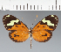  ( - CFC30541)  @11 [ ] copyright (2023) Center For Collection-Based Research Center For Collection-Based Research