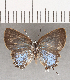  ( - CFC30711)  @11 [ ] Copyright (2020) Christer Fahraeus Center For Collection-Based Research