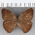  ( - CFC30864)  @11 [ ] copyright (2020) Christer Fahraeus Center For Collection-Based Research