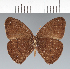  ( - CFC30867)  @11 [ ] copyright (2022) Center For Collection-Based Research Center For Collection-Based Research