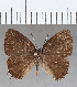  ( - CFC31014)  @11 [ ] Copyright (2020) Christer Fahraeus Center For Collection-Based Research