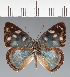  ( - CFC31143)  @11 [ ] copyright (2023) Center For Collection-Based Research Center For Collection-Based Research