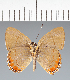  ( - CFC31214)  @11 [ ] copyright (2022) Center For Collection-Based Research Center For Collection-Based Research