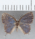  ( - CFC31218)  @11 [ ] Copyright (2020) Christer Fahraeus Center For Collection-Based Research