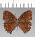  ( - CFC31432)  @11 [ ] copyright (2022) Center For Collection-Based Research Center For Collection-Based Research