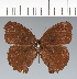  ( - CFC31441)  @11 [ ] copyright (2022) Center For Collection-Based Research Center For Collection-Based Research