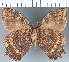  ( - CFC31581)  @11 [ ] copyright (2022) Center For Collection-Based Research Center For Collection-Based Research