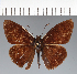  ( - CFC31872)  @11 [ ] copyright (2023) Center For Collection-Based Research Center For Collection-Based Research