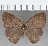  ( - CFC31921)  @11 [ ] copyright (2020) Christer Fahraeus Center For Collection-Based Research
