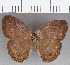  ( - CFC32073)  @11 [ ] copyright (2020) Christer Fahraeus Center For Collection-Based Research