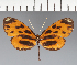  ( - CFC32132)  @11 [ ] copyright (2023) Center For Collection-Based Research Center For Collection-Based Research
