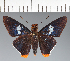  ( - CFC32197)  @11 [ ] copyright (2023) Center For Collection-Based Research Center For Collection-Based Research