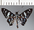  ( - CFC32292)  @11 [ ] copyright (2023) Center For Collection-Based Research Center For Collection-Based Research
