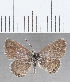  ( - CFC32391)  @11 [ ] Copyright (2020) Christer Fahraeus Center For Collection-Based Research