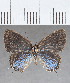  ( - CFC32658)  @11 [ ] Copyright (2020) Christer Fahraeus Center For Collection-Based Research