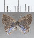  ( - CFC32663)  @11 [ ] Copyright (2020) Christer Fahraeus Center For Collection-Based Research