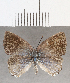  ( - CFC32668)  @11 [ ] Copyright (2020) Christer Fahraeus Center For Collection-Based Research